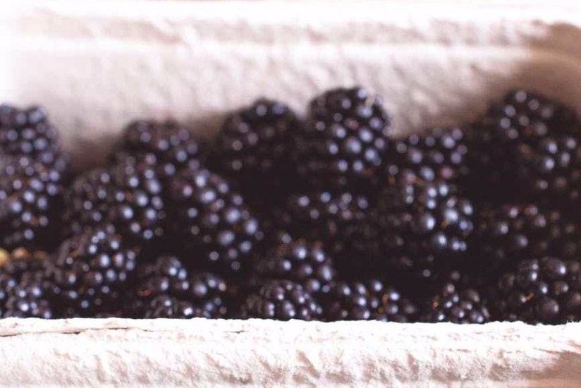 pile of blue berries